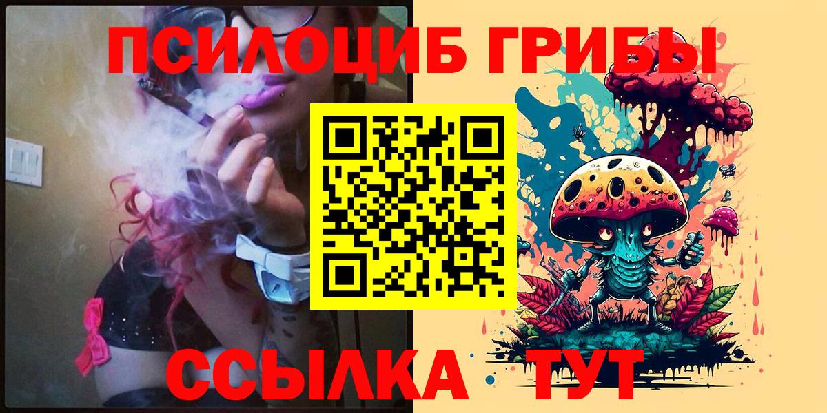 Псилоцибиновые грибы GOLDEN TEACHER  что такое наркотик  Галлюциногенные грибы Cubensis  Волгоград  Вход с VPN 
