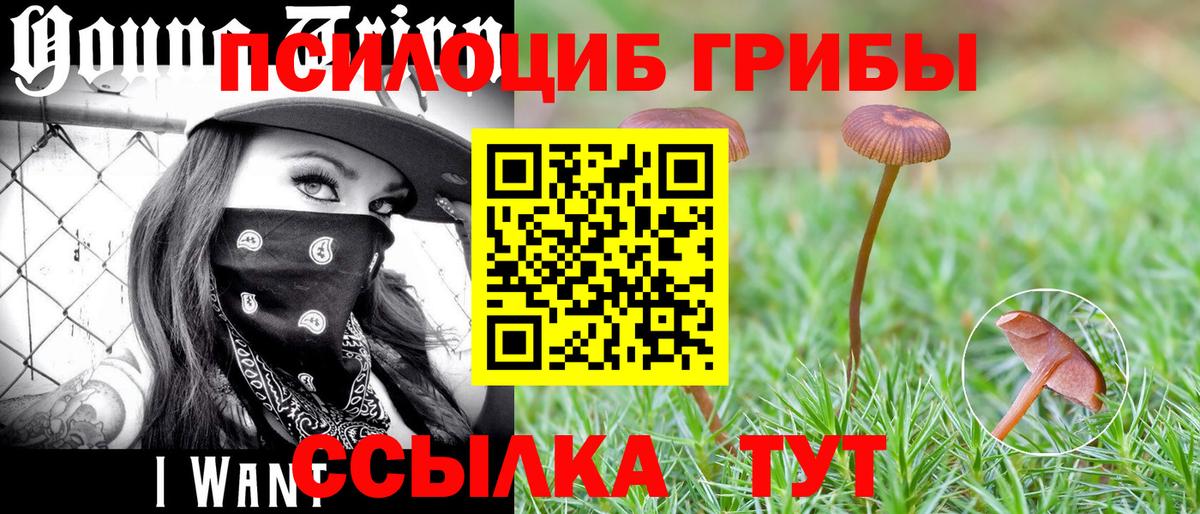 Галлюциногенные грибы Cubensis Волгоград